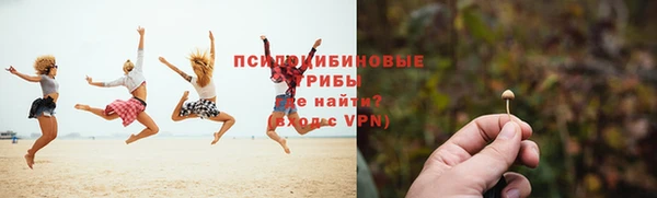 гашик Пестово