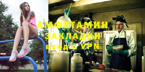 гашик Пестово