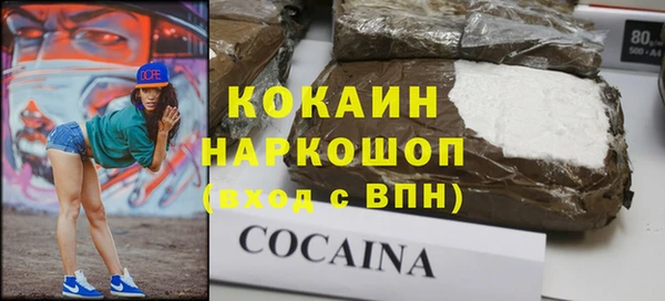 гашик Пестово