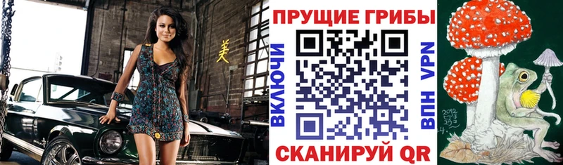 как найти наркотики  Тавда  Псилоцибиновые грибы Magic Shrooms 