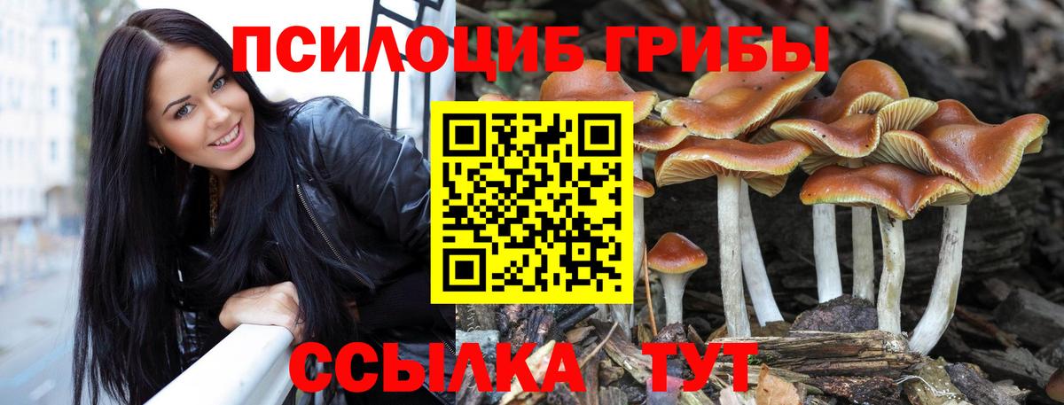 Галлюциногенные грибы прущие грибы Тавда