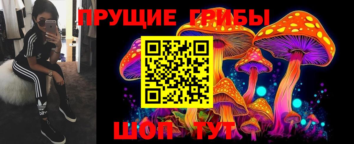 Псилоцибиновые грибы Psilocybine cubensis Тавда