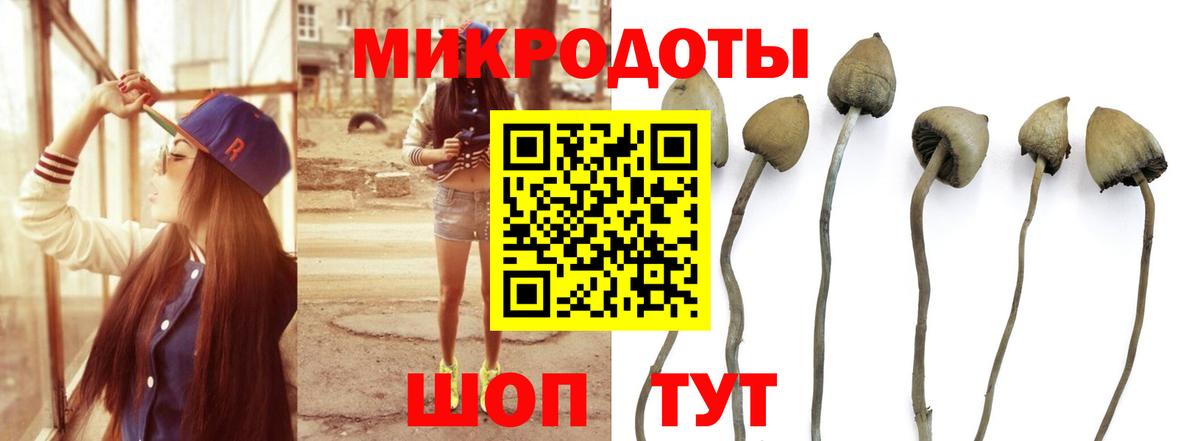 Псилоцибиновые грибы MAGIC MUSHROOMS  Тавда  Псилоцибиновые грибы MAGIC MUSHROOMS 